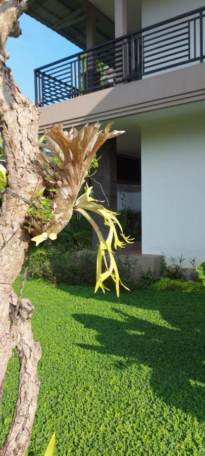 Indraprastha Cottage Ubud Exterior foto